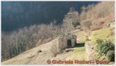 DSCN1490.jpg