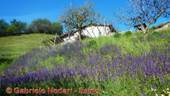 DSCN7719.jpg