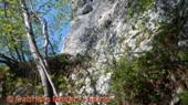 DSCN7737.jpg
