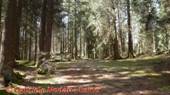 DSCN7790.jpg