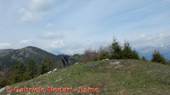 DSCN7809.jpg
