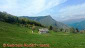 DSCN7853.jpg