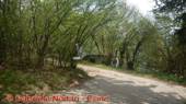 DSCN7860.jpg