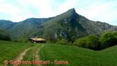 DSCN7864.jpg