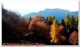 DSCN3565.jpg