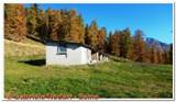 DSCN3572.jpg
