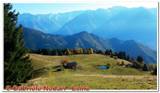 DSCN3590.jpg