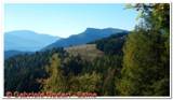 DSCN3617.jpg