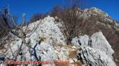 DSCN6554_small.jpg