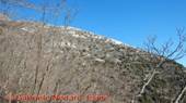 DSCN6536.jpg