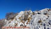 DSCN6560.jpg