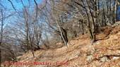 DSCN6636.jpg