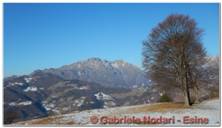 DSCN7499.jpg