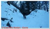 DSCN5457.jpg