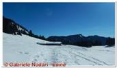 DSCN5476.jpg