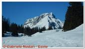 DSCN5478.jpg