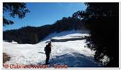 DSCN5485.jpg