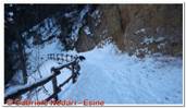 DSCN5538.jpg
