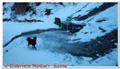 DSCN5541.jpg