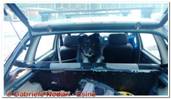 DSCN5546.jpg