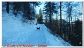 DSCN4558.jpg