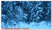 DSCN4563.jpg