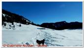 DSCN4570.jpg