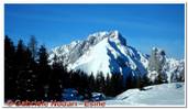 DSCN4577.jpg