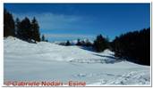 DSCN4591.jpg