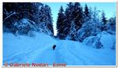 DSCN4611.jpg