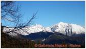 DSCN0295.jpg