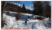 DSCN5416.jpg