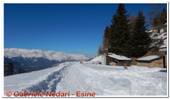 DSCN5436.jpg