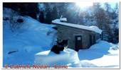DSCN5452.jpg
