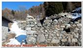 DSCN5478.jpg
