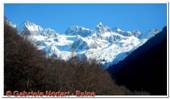 DSCN5491.jpg