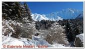DSCN5235.jpg