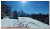DSCN5263.jpg