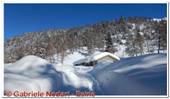 DSCN5268.jpg