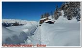 DSCN5271.jpg