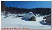 DSCN5293.jpg
