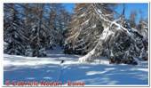 DSCN5294.jpg