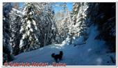 DSCN5298.jpg