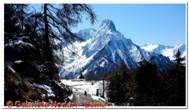 DSCN7392_small.jpg