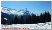 DSCN7398.jpg