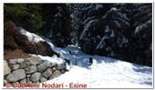 DSCN7424.jpg