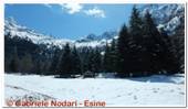 DSCN7436.jpg