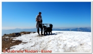 DSCN6685_small.jpg