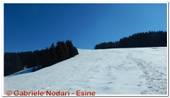 DSCN6656.jpg