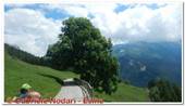 DSCN7709.jpg